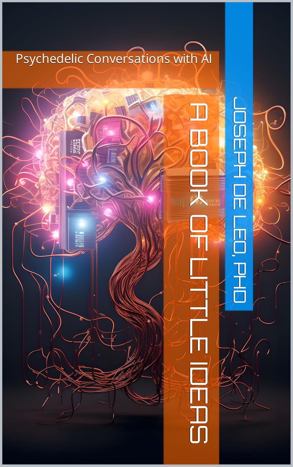 Cover of A Book of Little Ideas